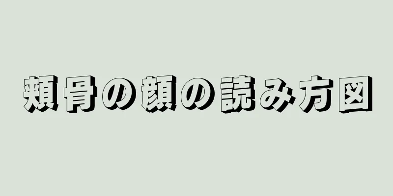 頬骨の顔の読み方図