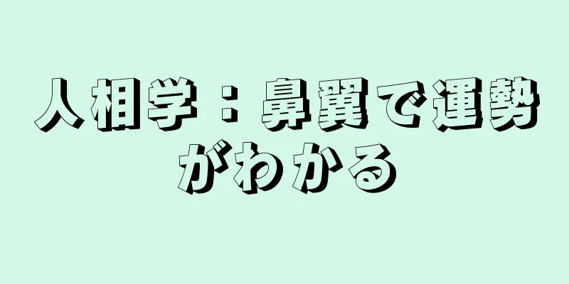 人相学：鼻翼で運勢がわかる