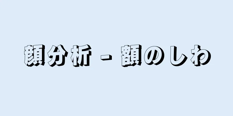 顔分析 - 額のしわ