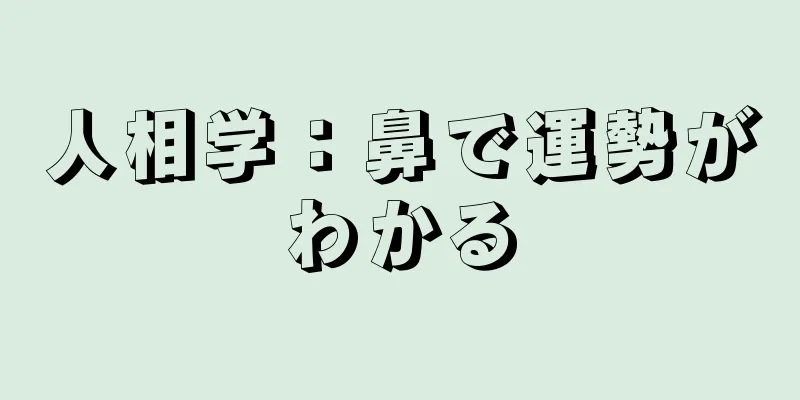 人相学：鼻で運勢がわかる