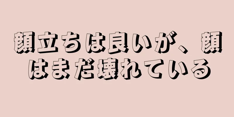 顔立ちは良いが、顔はまだ壊れている