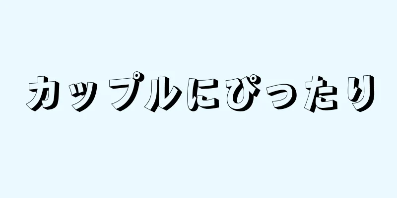 カップルにぴったり