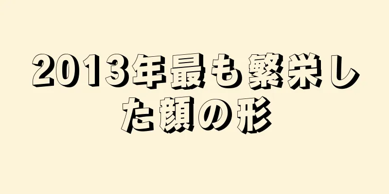 2013年最も繁栄した顔の形