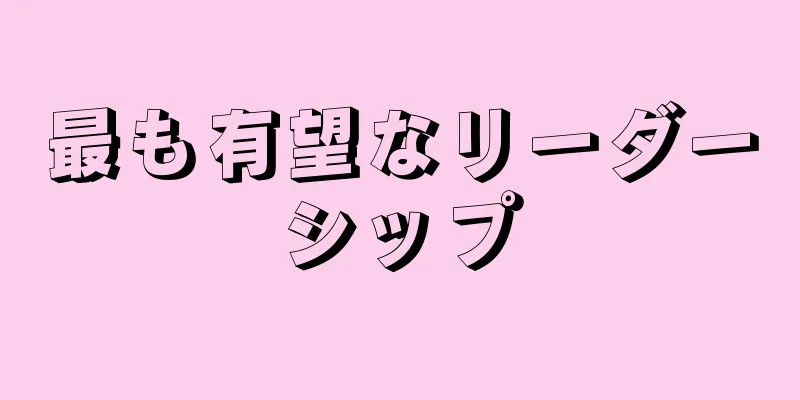 最も有望なリーダーシップ