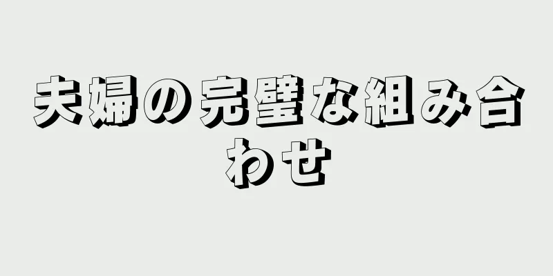 夫婦の完璧な組み合わせ