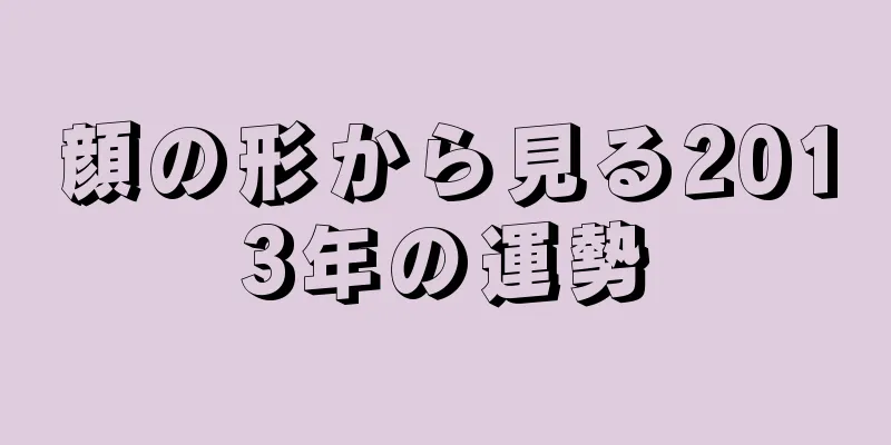 顔の形から見る2013年の運勢