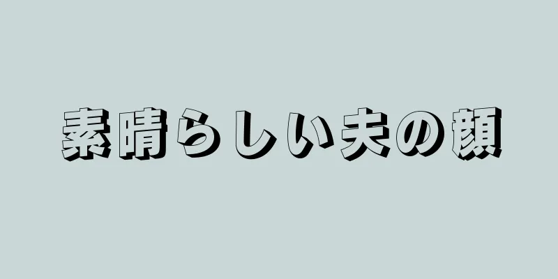 素晴らしい夫の顔