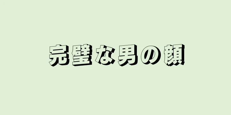 完璧な男の顔