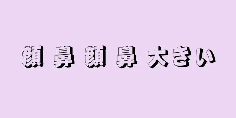 顔 鼻 顔 鼻 大きい