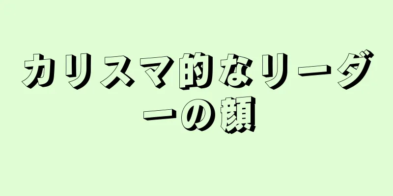 カリスマ的なリーダーの顔