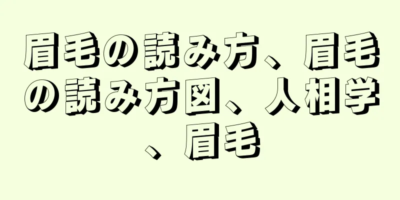 眉毛の読み方、眉毛の読み方図、人相学、眉毛