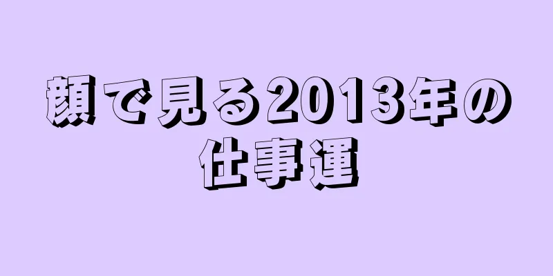 顔で見る2013年の仕事運