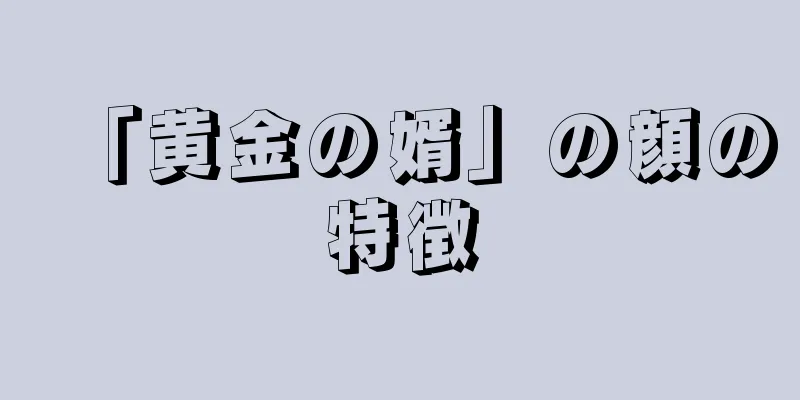 「黄金の婿」の顔の特徴