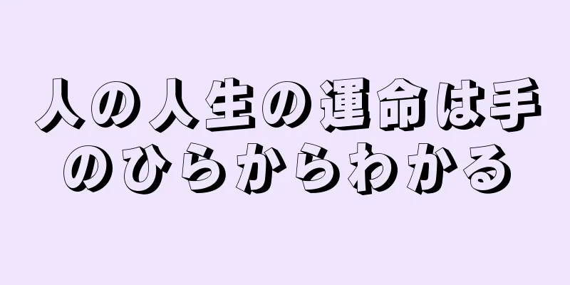 人の人生の運命は手のひらからわかる