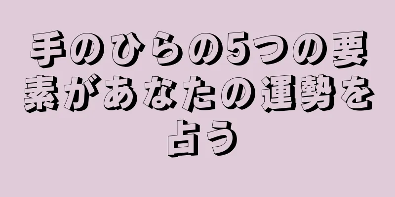 手のひらの5つの要素があなたの運勢を占う