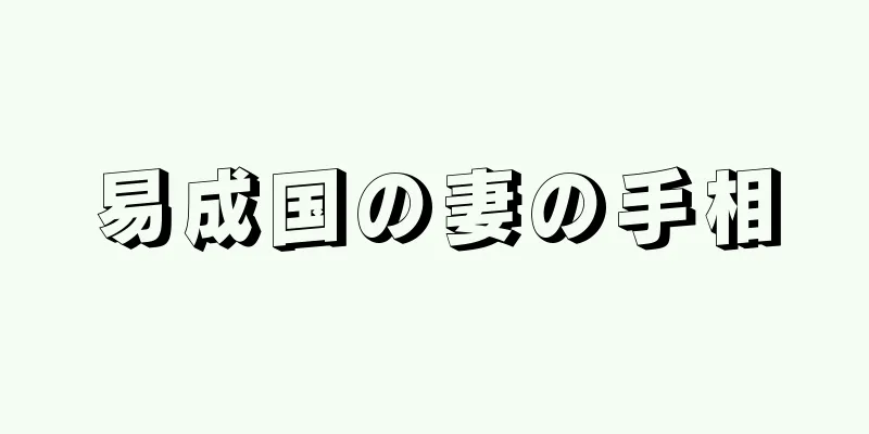 易成国の妻の手相