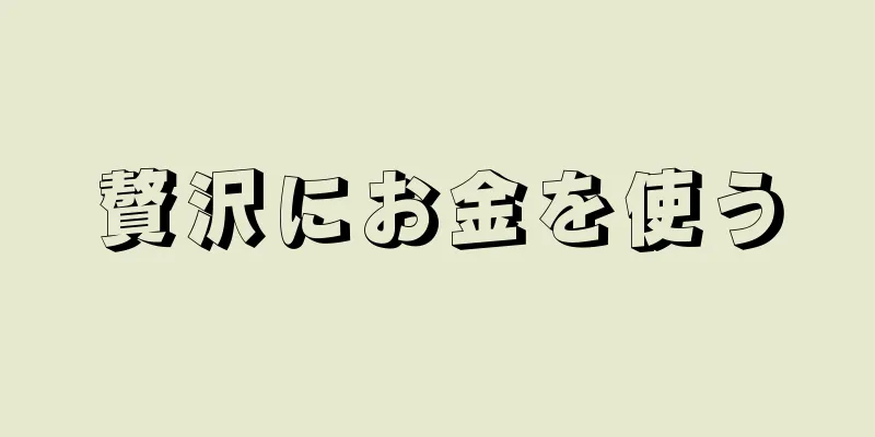 贅沢にお金を使う