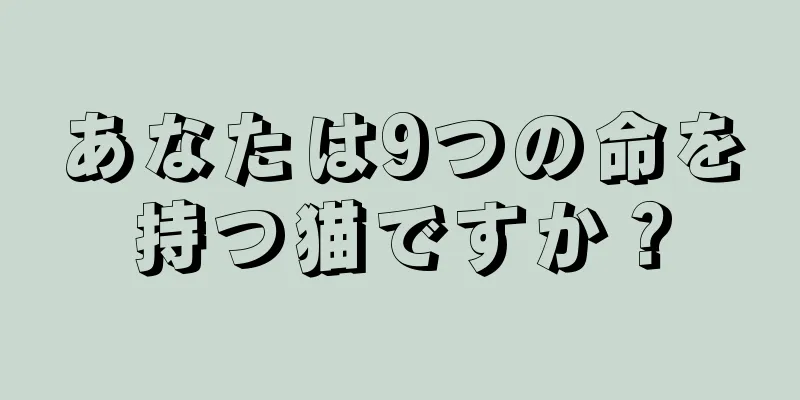 あなたは9つの命を持つ猫ですか？