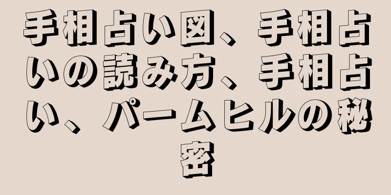 手相占い図、手相占いの読み方、手相占い、パームヒルの秘密