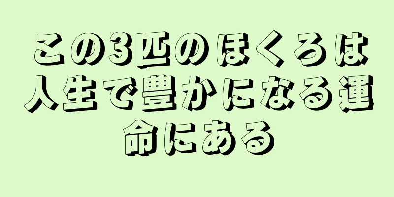 この3匹のほくろは人生で豊かになる運命にある