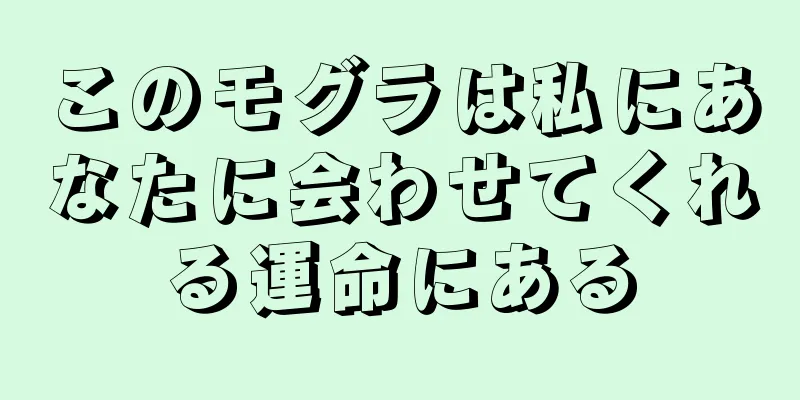 このモグラは私にあなたに会わせてくれる運命にある