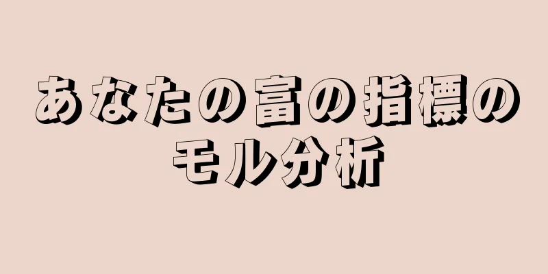 あなたの富の指標のモル分析