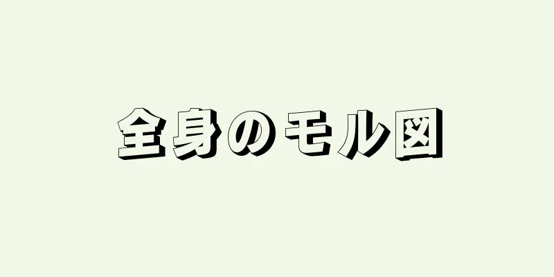 全身のモル図