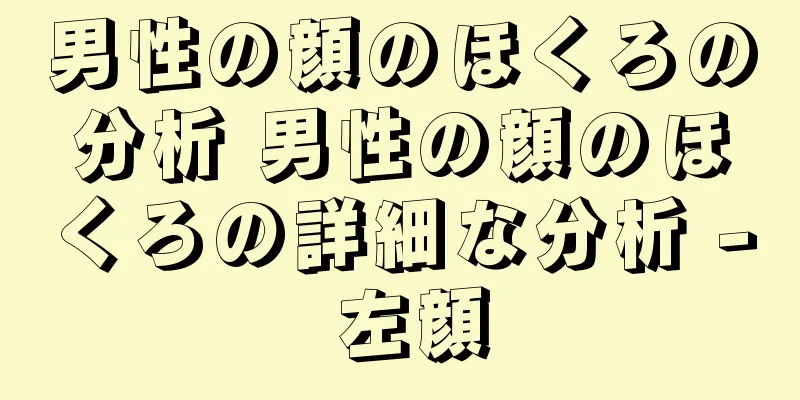 男性の顔のほくろの分析 男性の顔のほくろの詳細な分析 - 左顔