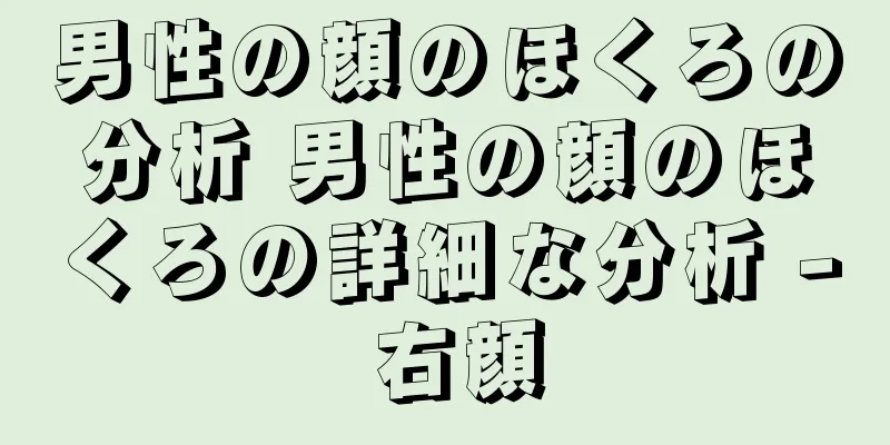 男性の顔のほくろの分析 男性の顔のほくろの詳細な分析 - 右顔