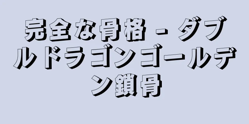 完全な骨格 - ダブルドラゴンゴールデン鎖骨