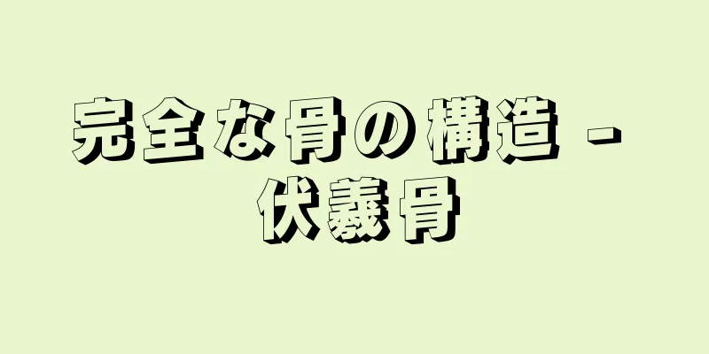 完全な骨の構造 - 伏羲骨