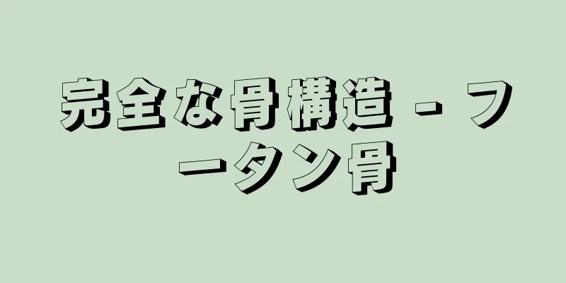 完全な骨構造 - フータン骨