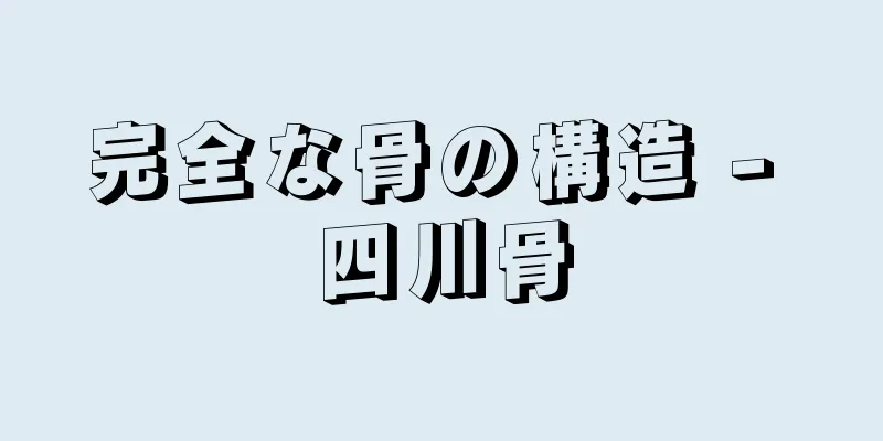 完全な骨の構造 - 四川骨