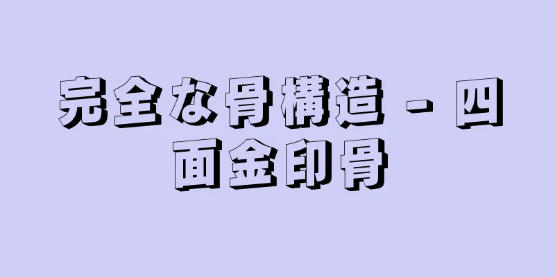 完全な骨構造 - 四面金印骨