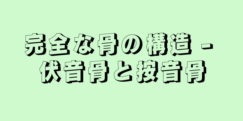 完全な骨の構造 - 伏音骨と按音骨