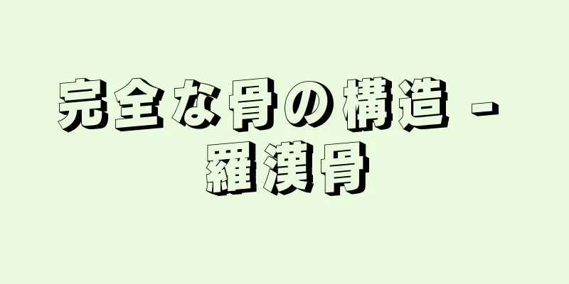 完全な骨の構造 - 羅漢骨