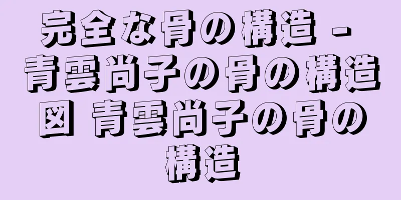 完全な骨の構造 - 青雲尚子の骨の構造図 青雲尚子の骨の構造