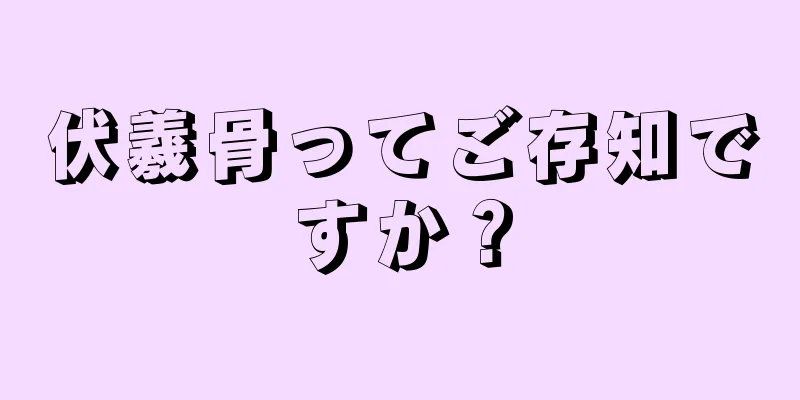 伏羲骨ってご存知ですか？