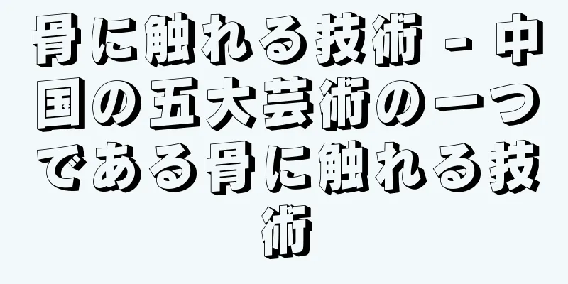 骨に触れる技術 - 中国の五大芸術の一つである骨に触れる技術