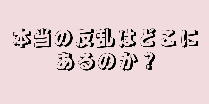 本当の反乱はどこにあるのか？