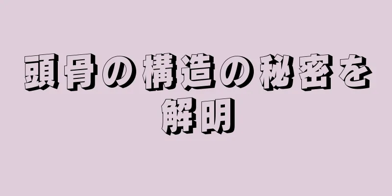 頭骨の構造の秘密を解明