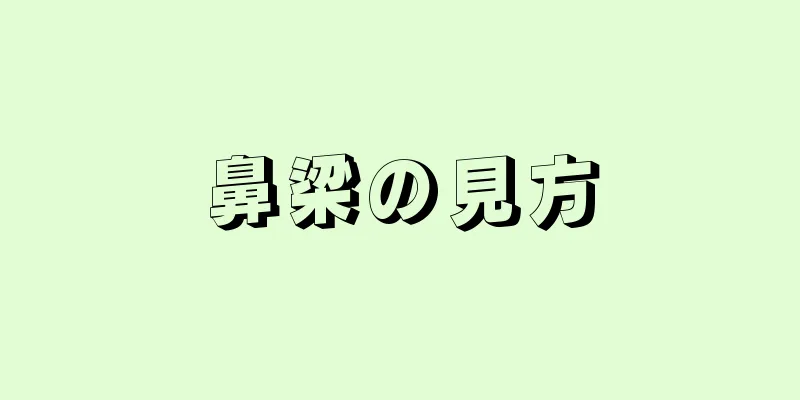 鼻梁の見方