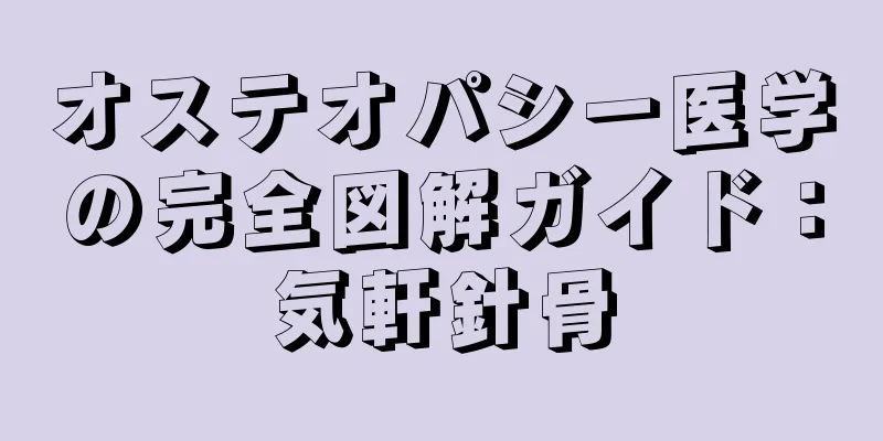 オステオパシー医学の完全図解ガイド：気軒針骨