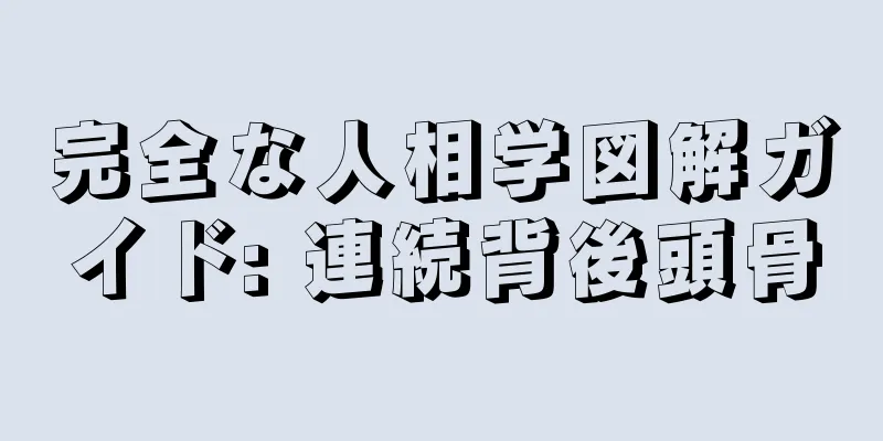 完全な人相学図解ガイド: 連続背後頭骨