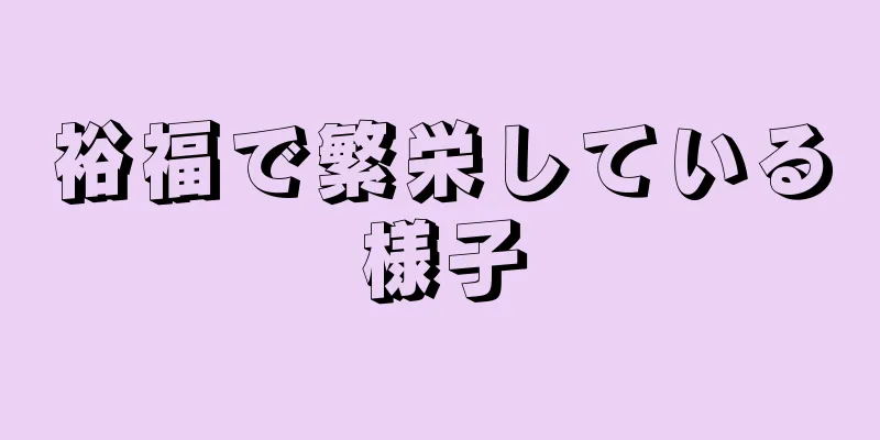 裕福で繁栄している様子