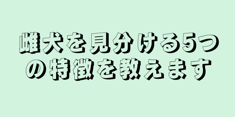 雌犬を見分ける5つの特徴を教えます