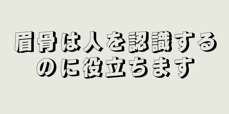 眉骨は人を認識するのに役立ちます