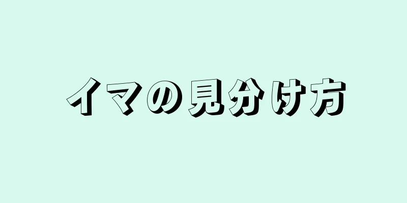 イマの見分け方