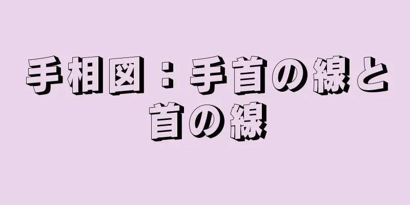 手相図：手首の線と首の線