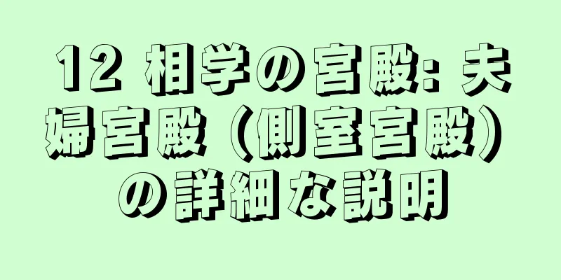 12 相学の宮殿: 夫婦宮殿 (側室宮殿) の詳細な説明